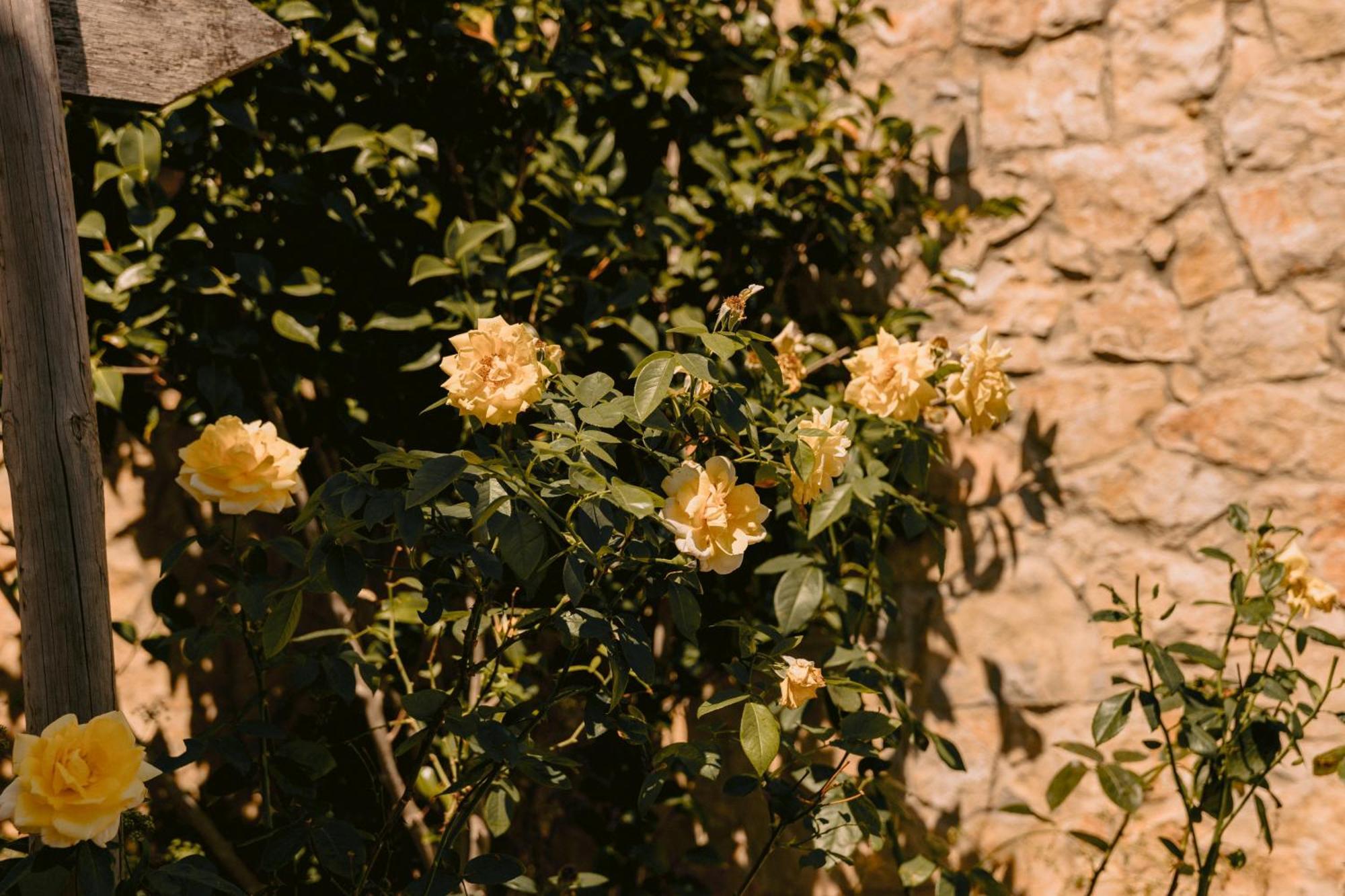 Vilas Da Matagosa Farm stay Matagosinha